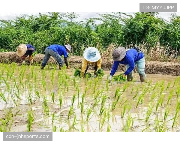杨力维随手一刷卡的消费明细，我看完只想回老家种地